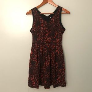 BB Dakota Leopard Print Vneck Dress size 4